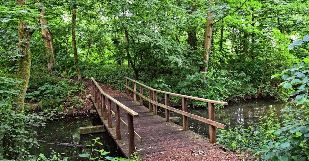 pexels photo 13518415 13518415