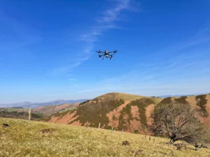 Drone Surveys PHOTO 2025 04 11 10 53 47 6