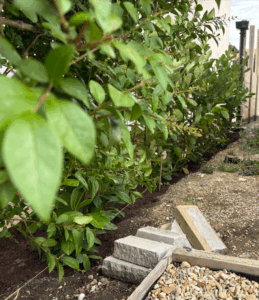 Boundary Surveys Interlocks Surveys