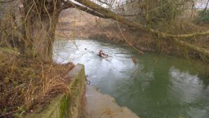 WP 20170125 10 54 51 Pro