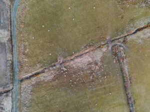 Aerial view of lush Scottish farmland with scattered sheep and natural features.